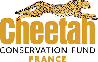 Cheetah Conservation Fund (CCF)